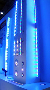 ArcShow-5