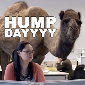 HUMP-DAY-CAMEL