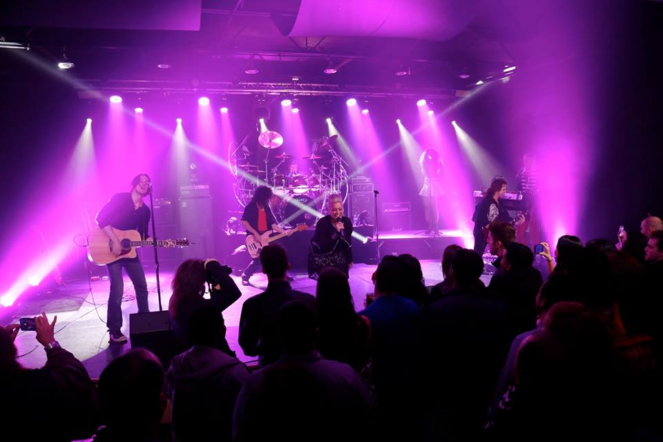 Chauvet Pink Tribute 3