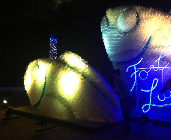 FLL-Fish-5-blog
