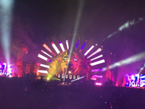 Life in Color 4
